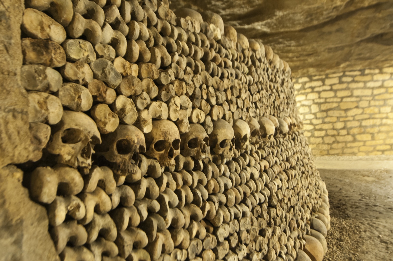 Wall of stacked skulls and bones in the Paris Catacombs ossuary